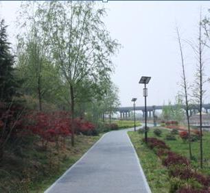 灞桥滨河生态公园二期景观绿化工程
